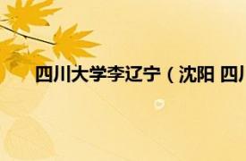 四川大学李辽宁（沈阳 四川大学教授相关内容简介介绍）