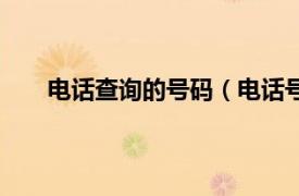 电话查询的号码（电话号码查询相关内容简介介绍）