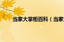 当家大掌柜百科（当家大掌柜相关内容简介介绍）