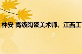 林安 高级陶瓷美术师、江西工艺美术协会会员相关内容简介介绍