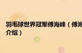 羽毛球世界冠军傅海峰（傅海峰 中国羽毛球运动员相关内容简介介绍）