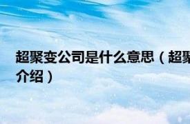 超聚变公司是什么意思（超聚变数字技术有限公司相关内容简介介绍）