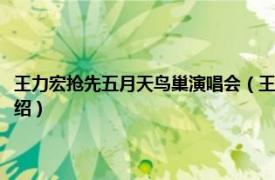 王力宏抢先五月天鸟巢演唱会（王力宏火力全开鸟巢演唱会相关内容简介介绍）