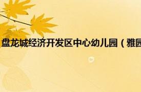 盘龙城经济开发区中心幼儿园（雅园 盘龙城经济开发区相关内容简介介绍）