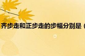 齐步走和正步走的步幅分别是（正步走齐步走相关内容简介介绍）