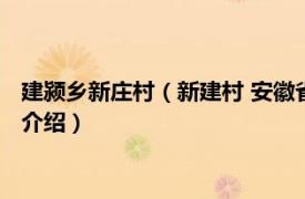 建颍乡新庄村（新建村 安徽省阜阳市颍州区新建村相关内容简介介绍）