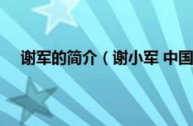 谢军的简介（谢小军 中国内地导演相关内容简介介绍）