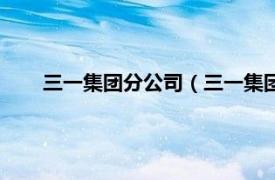 三一集团分公司（三一集团有限公司相关内容简介介绍）