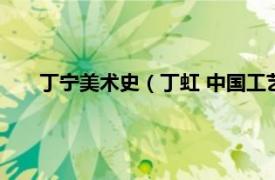 丁宁美术史（丁虹 中国工艺美术大师相关内容简介介绍）