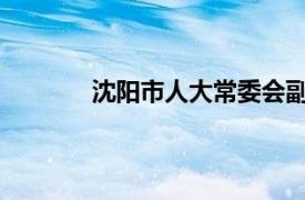 沈阳市人大常委会副主任高介绍了相关内容