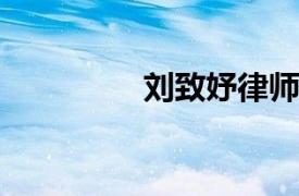 刘致妤律师和仲裁员简介