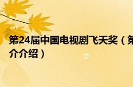 第24届中国电视剧飞天奖（第32届中国电视剧飞天奖相关内容简介介绍）