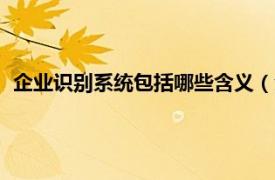 企业识别系统包括哪些含义（企业识别系统相关内容简介介绍）