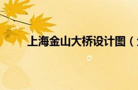 上海金山大桥设计图（金山桥相关内容简介介绍）