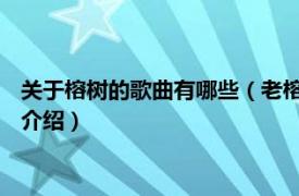 关于榕树的歌曲有哪些（老榕树 华语群星演唱歌曲相关内容简介介绍）