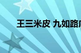 王三米皮 九如路店相关内容简介介绍