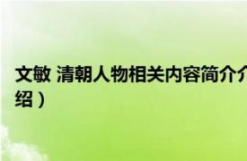 文敏 清朝人物相关内容简介介绍（文敏 清朝人物相关内容简介介绍）