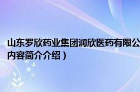 山东罗欣药业集团润欣医药有限公司（山东罗欣药业集团股份有限公司相关内容简介介绍）