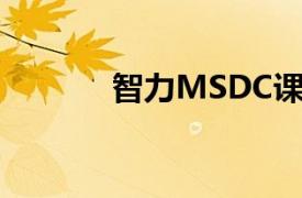 智力MSDC课程相关内容简介