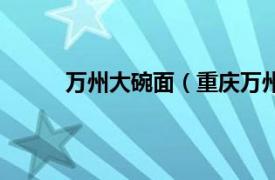 万州大碗面（重庆万州面庄相关内容简介介绍）