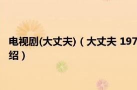 电视剧(大丈夫)（大丈夫 1977年香港亚视电视剧相关内容简介介绍）