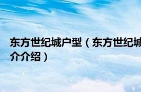 东方世纪城户型（东方世纪城 潍坊市东方世纪城楼盘相关内容简介介绍）