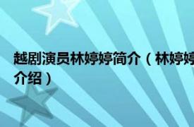 越剧演员林婷婷简介（林婷婷 越剧王派名家林婷婷相关内容简介介绍）