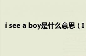 i see a boy是什么意思（I get a boy相关内容简介介绍）