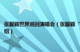 张靓颖世界巡回演唱会（张靓颖“我相信”中国巡回演唱会相关内容简介介绍）