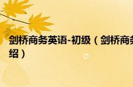 剑桥商务英语-初级（剑桥商务英语实用教程中级相关内容简介介绍）