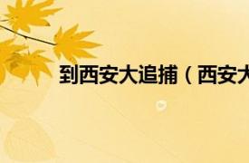 到西安大追捕（西安大追捕相关内容简介介绍）