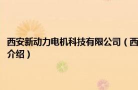 西安新动力电机科技有限公司（西安新动力教育科技有限公司相关内容简介介绍）