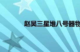 赵昊三星堆八号器物坑负责人相关内容简介