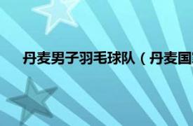 丹麦男子羽毛球队（丹麦国家羽毛球队相关内容简介介绍）