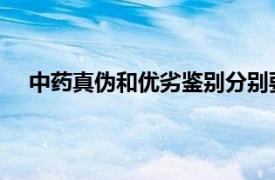 中药真伪和优劣鉴别分别要进行哪些方面的鉴别和检测