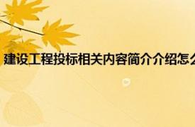 建设工程投标相关内容简介介绍怎么写（建设工程投标相关内容简介介绍）