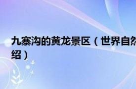 九寨沟的黄龙景区（世界自然遗产：九寨沟黄龙相关内容简介介绍）