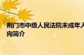 荆门市中级人民法院未成年人案件综合审判庭原庭长、原审判员向简介