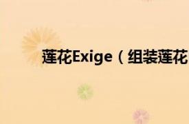 莲花Exige（组装莲花Exige相关内容简介介绍）