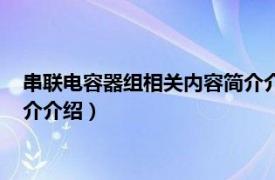 串联电容器组相关内容简介介绍一下（串联电容器组相关内容简介介绍）