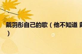 戴羽彤自己的歌（他不知道 戴羽彤演唱的歌曲相关内容简介介绍）