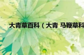 大青草百科（大青 马鞭草科大青属植物相关内容简介介绍）