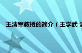 王清军教授的简介（王学武 清华大学教授相关内容简介介绍）