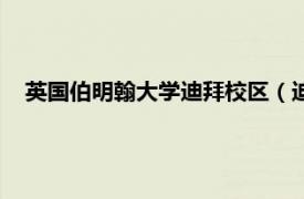 英国伯明翰大学迪拜校区（迪拜英国大学相关内容简介介绍）