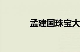 孟建国珠宝大盗相关内容简介