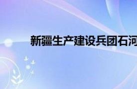 新疆生产建设兵团石河子市新城街道志愿者简介