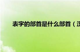 表字的部首是什么部首（汉字部首表相关内容简介介绍）