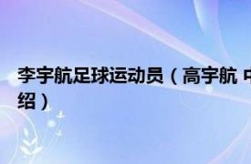 李宇航足球运动员（高宇航 中国职业足球运动员相关内容简介介绍）