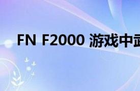 FN F2000 游戏中武器相关内容简介介绍