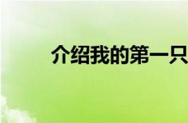 介绍我的第一只黑公鸡的相关内容